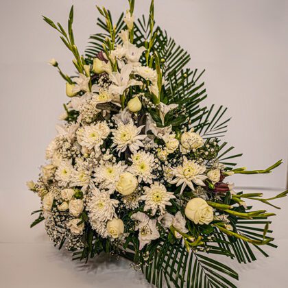 Wintry Whites